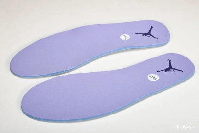 “Covered Jordan Tones” Low 1 Purple 553558-515 0731